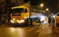 Va chạm xe tải, thai phụ và con trai 3 tuổi tử vong