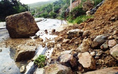 Vào rừng tìm bò, hai mẹ con cô giáo bị đá đè tử vong