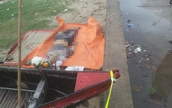 Hoảng hồn phát hiện thi thể phân hủy trôi dạt vào bờ biển