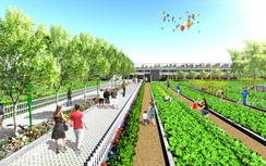 Nhà phố vườn bên sông Sai Gon Village chỉ hơn 500 triệu/nền