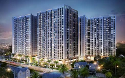 Novaland tiếp tục được vinh danh thương hiệu uy tín