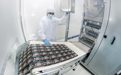 Cà phê sữa đá Việt Nam sẽ được giới thiệu ra năm châu