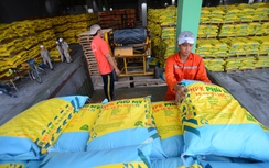 DPM: Kết quả kinh doanh ấn tượng - Triển vọng tích cực