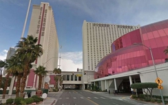 Bí ẩn vụ hai người Việt đi du lịch bị đâm chết tại Mỹ