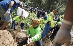 Hoảng sợ trước hàng chục ngôi mộ tập thể được phát hiện tại Malaysia