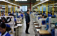 100 công dân Trung Quốc bị bắt tại Triều Tiên: Giới chức nói gì?