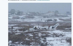 Máy bay rơi tại Canada, cả nhà cựu Bộ trưởng thiệt mạng