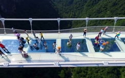 Vừa mở 13 ngày, cầu kính Trung Quốc phải bảo trì khẩn cấp