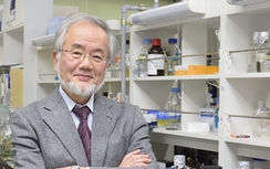 Giải Nobel Sinh học - Y học 2016: Cơ chế tự thực