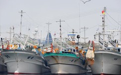 Triều Tiên thả tàu Hàn Quốc sau 6 ngày bắt giữ