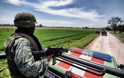 Mexico triển khai quân cảnh trước tình hình tội phạm giết người báo động