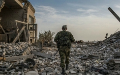 Putin:Muốn chấm dứt nội chiến Ukraine, hãy cho miền Đông tình trạng đặc biệt