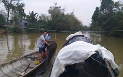 Xả thân săn cá chình trên dòng nước lũ