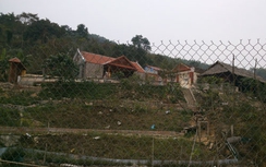 Tại sao 12 con dê đi 'lạc' vào trang trại của bí thư huyện?