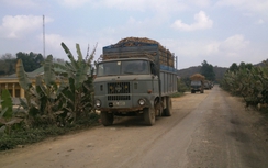 Thanh Hóa "truy" xe hết niên hạn