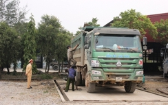 Xe quá tải khó thoát tổ công tác chuyên đề