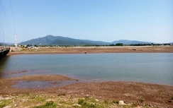 Bị bạn thách đố, nam sinh viên tử vong sau cú nhảy cầu