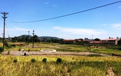 Đi cày ruộng, người đàn ông bị điện giật chết