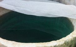 Bực tức với em dâu, chị chồng đổ thuốc diệt cỏ vào bể nước