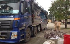 Bắt gọn 20 tấn mực khô hôi thối đang "tuồn" về Hà Nội