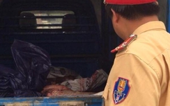 Bắt giữ 340kg nội tạng động vật bốc mùi trên xe tải