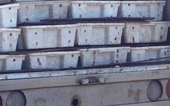 3 tấn cá đang phân hủy suýt được làm nước mắm