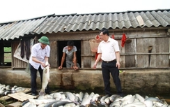 Lãnh đạo Thanh Hóa "vi hành" sau 4 ngày cá chết hàng loạt