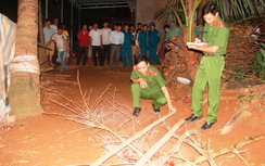 Đối tượng cầm dao sát hại hai cháu nhỏ là họ hàng