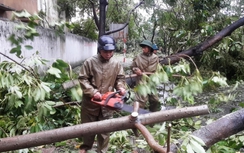 Ninh Bình mất điện trên diện rộng do ảnh hưởng bão số 1