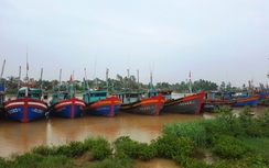 Ninh Bình, Thanh Hóa và Nghệ An sẵn sàng ứng phó bão số 2