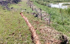 Thanh Hóa: Nứt đê, hàng nghìn hộ dân bị uy hiếp tính mạng