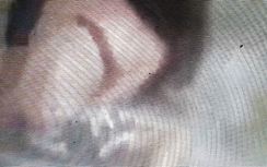 Sẽ xử lý nghiêm nữ sinh đánh nhau, lột đồ bạn