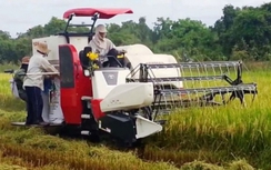 Bắt 4 đối tượng côn đồ cướp tiền của chủ máy gặt lúa