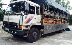 Bắt giữ xe tải chở trên 6m3 gỗ lậu
