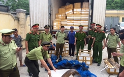 Bắt giữ xe tải chở hơn 122kg tê tê trên đường đi tiêu thụ