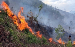 Cháy rừng trong Quần thể danh thắng Tràng An