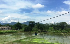 Phát hiện người phụ nữ chết dưới ao hàng xóm