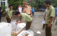 Gần 7 tạ nhộng thối theo xe khách tuồn ra Bắc