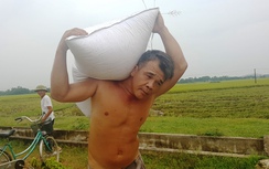 Thanh Hóa gặt lúa cả ngày lẫn đêm chạy bão số 10