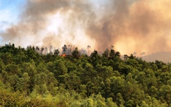 Nhiều ha rừng bị bốc cháy ở Thanh Hóa