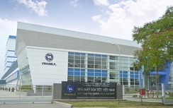 Tập đoàn Singapore chi gần 9.000 tỷ đồng mua trọn lô cổ phiếu Vinamilk