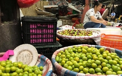 Đào, mận Trung Quốc đội lốt đặc sản Tây Bắc "tung hoành" Hà Nội