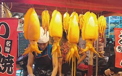 Mực khổng lồ Hồng Kông gây sốt phố cổ Hà Nội