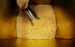 Giá vàng ngày 2/8: Vàng trong nước chững lại theo xu hướng thế giới