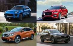 Những mẫu crossover có thiết kế đẹp nhất thế giới