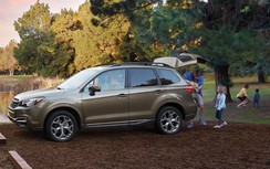 Những mẫu xe có tầm nhìn tốt nhất hiện nay