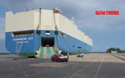 Xe con nhập Thái tăng mạnh, xe Hàn Quốc và Nhật Bản im ắng