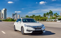 Thị hiếu mua sắm ô tô tại Việt Nam khác xa Thái Lan