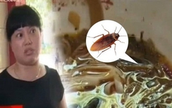 Video: Tránh bồi thường, chủ quán nuốt chửng con gián trong tô mỳ