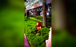 Cô gái bị đánh ghen tàn tạ ven đường